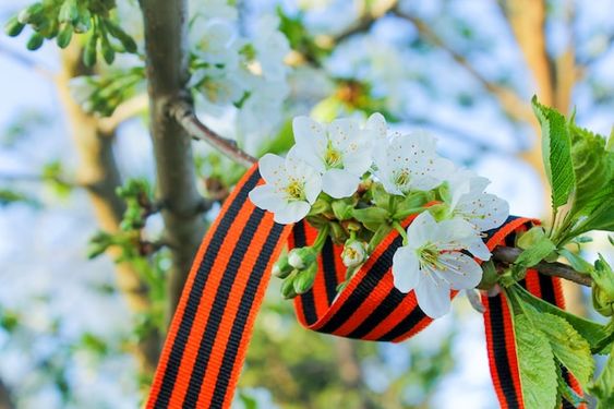 ����������� � ���� ������!