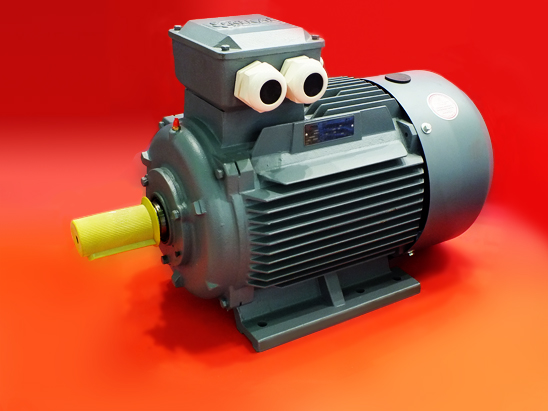 ������������ �������������� ENERAL ��� ����������������� ��������