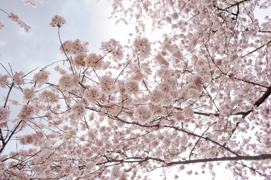 � ���������� �����, ������� �������!