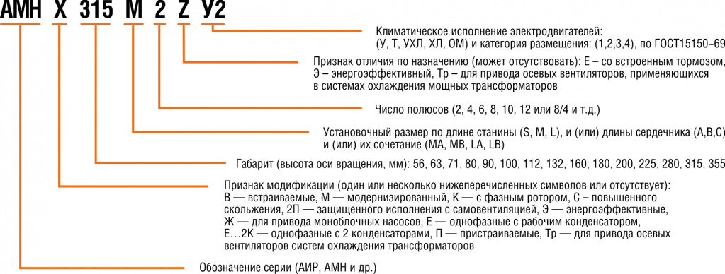 AMN_name structure.png
